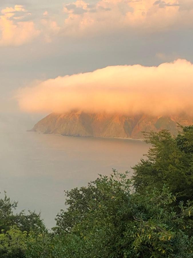 Seawood House Boutique Hotel Lynton Kültér fotó